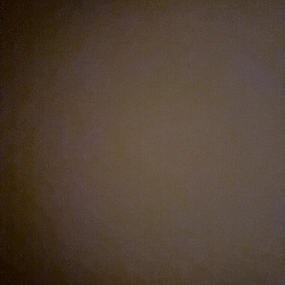 Brandonn1989amateur profile