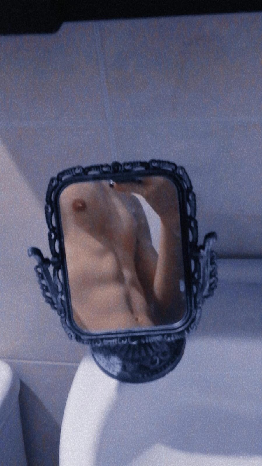 Sebasswhite