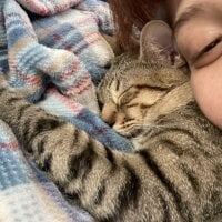 Nerojenifer offline chatrum