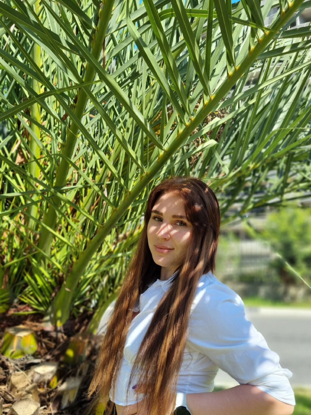 Офлайн-чат 1Sexadventure 