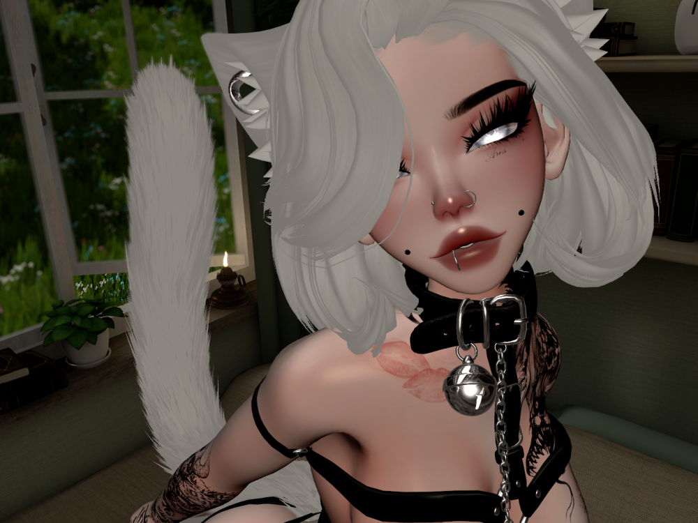 Kitten_Lush profile