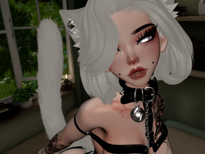 Kitten_Lush