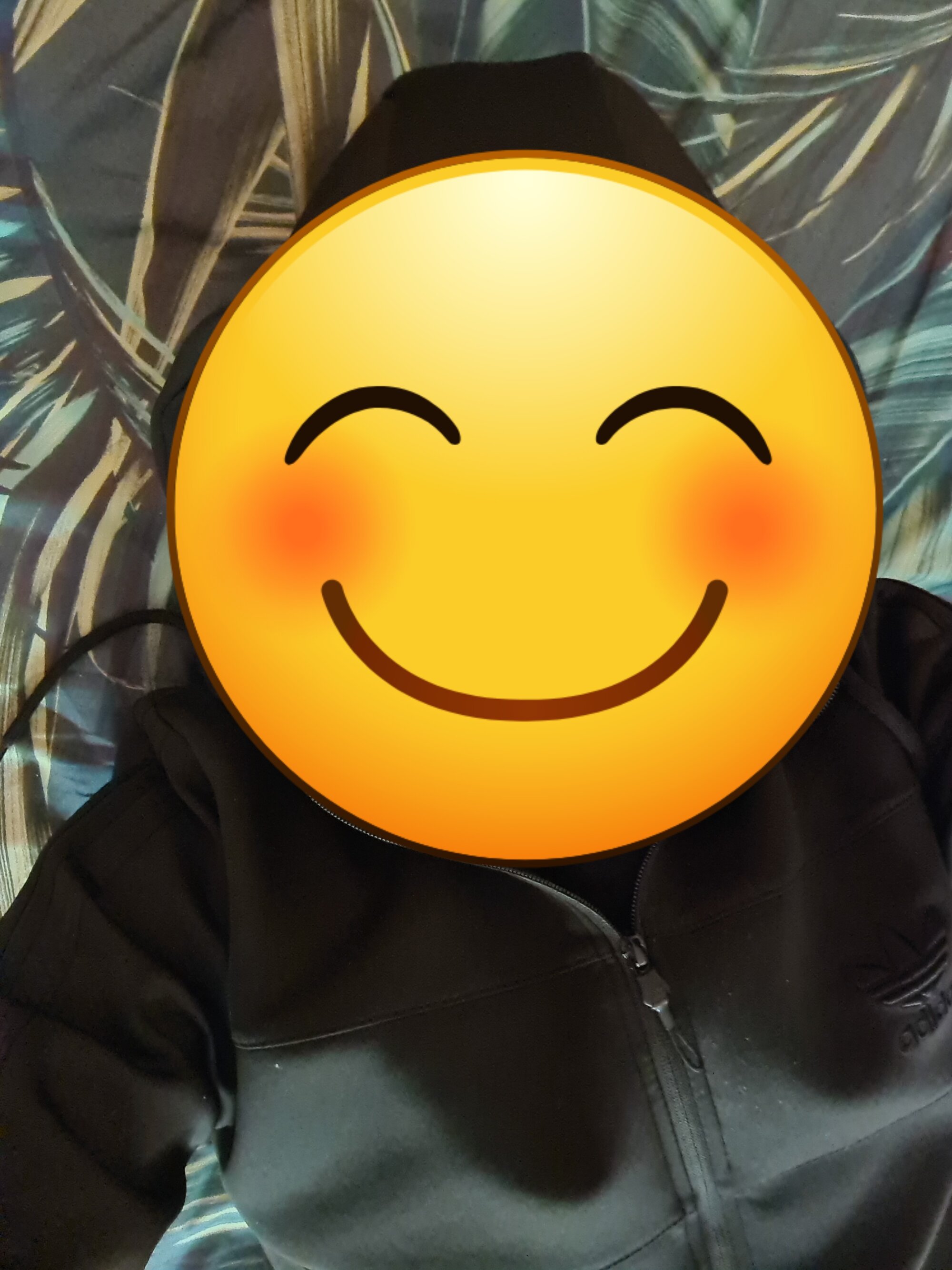 alexadax8y