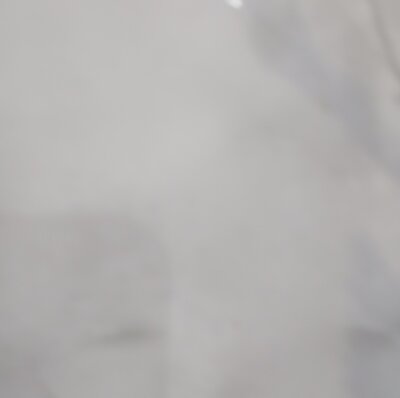 bww2025 from stripchat