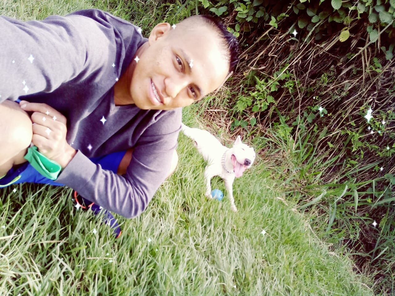 todoray