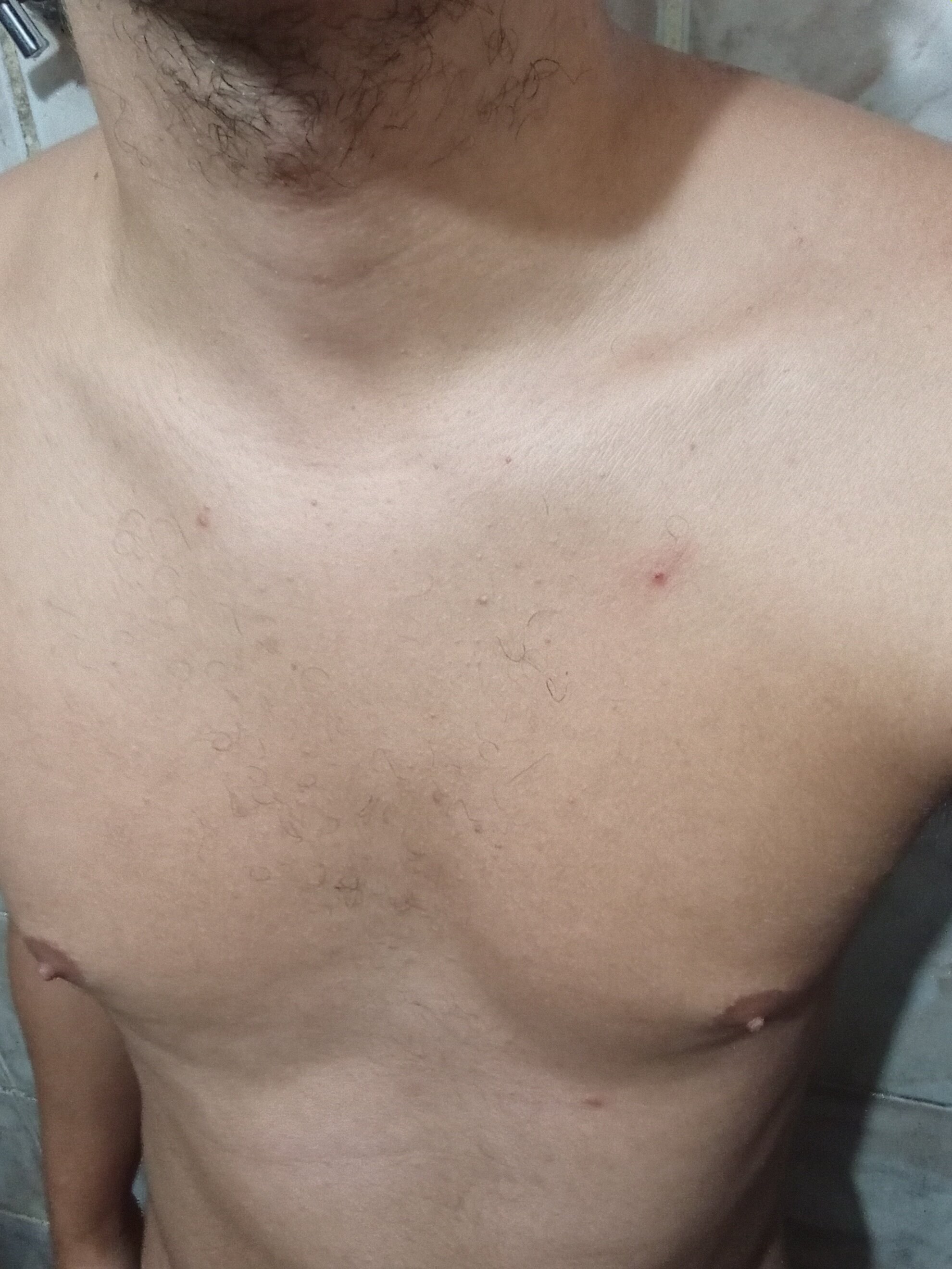 baiano20centimetros