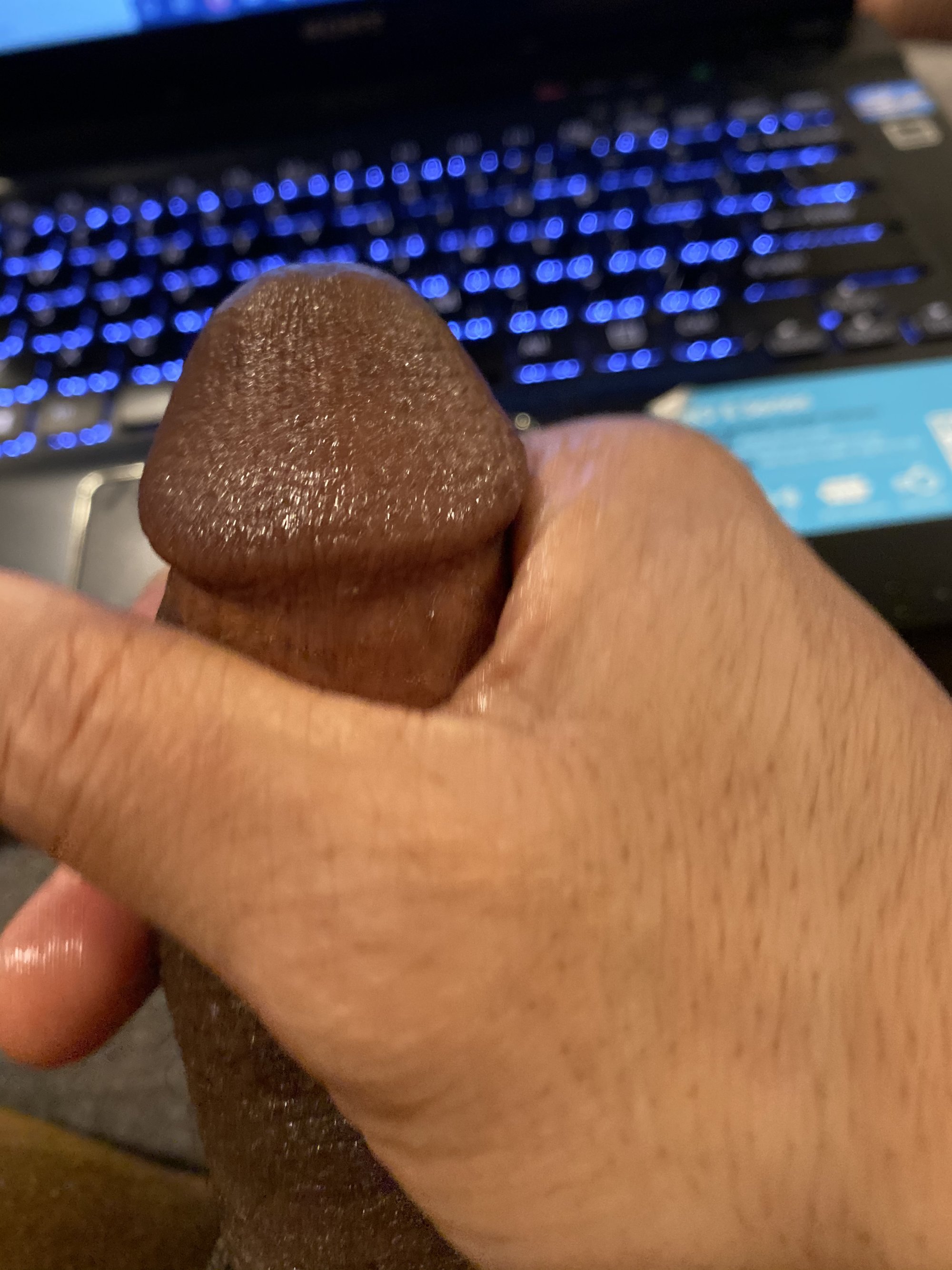 SlightEvidence live webcam