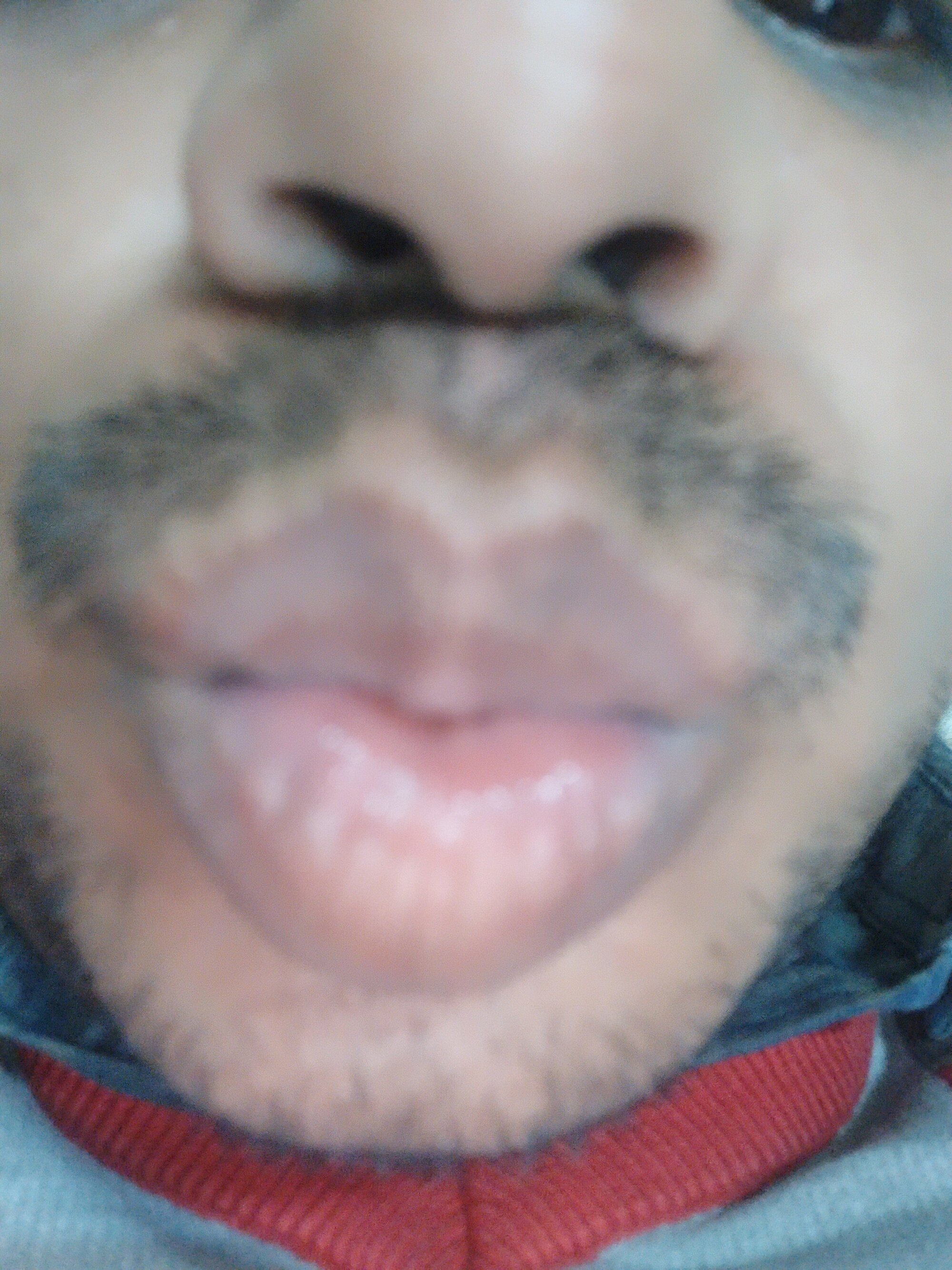 desi_khan4u