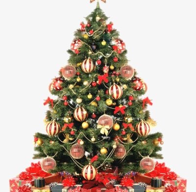 Maxxcock29xLive Webcam