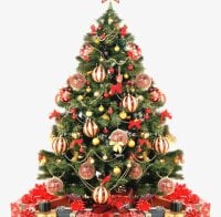 Maxxcock29x's webcam live show