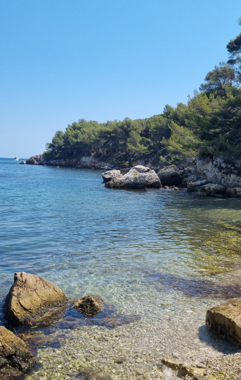 nono93100@xh's Offline XXX Chat