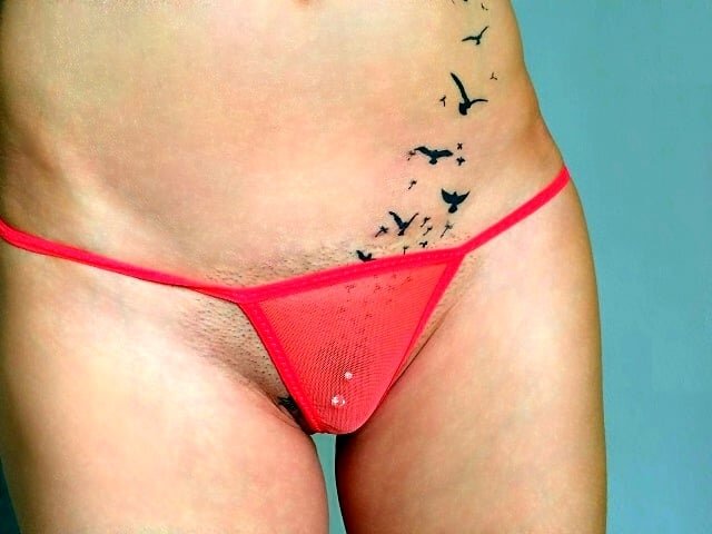 _Lower_ 🍎 free live webcam