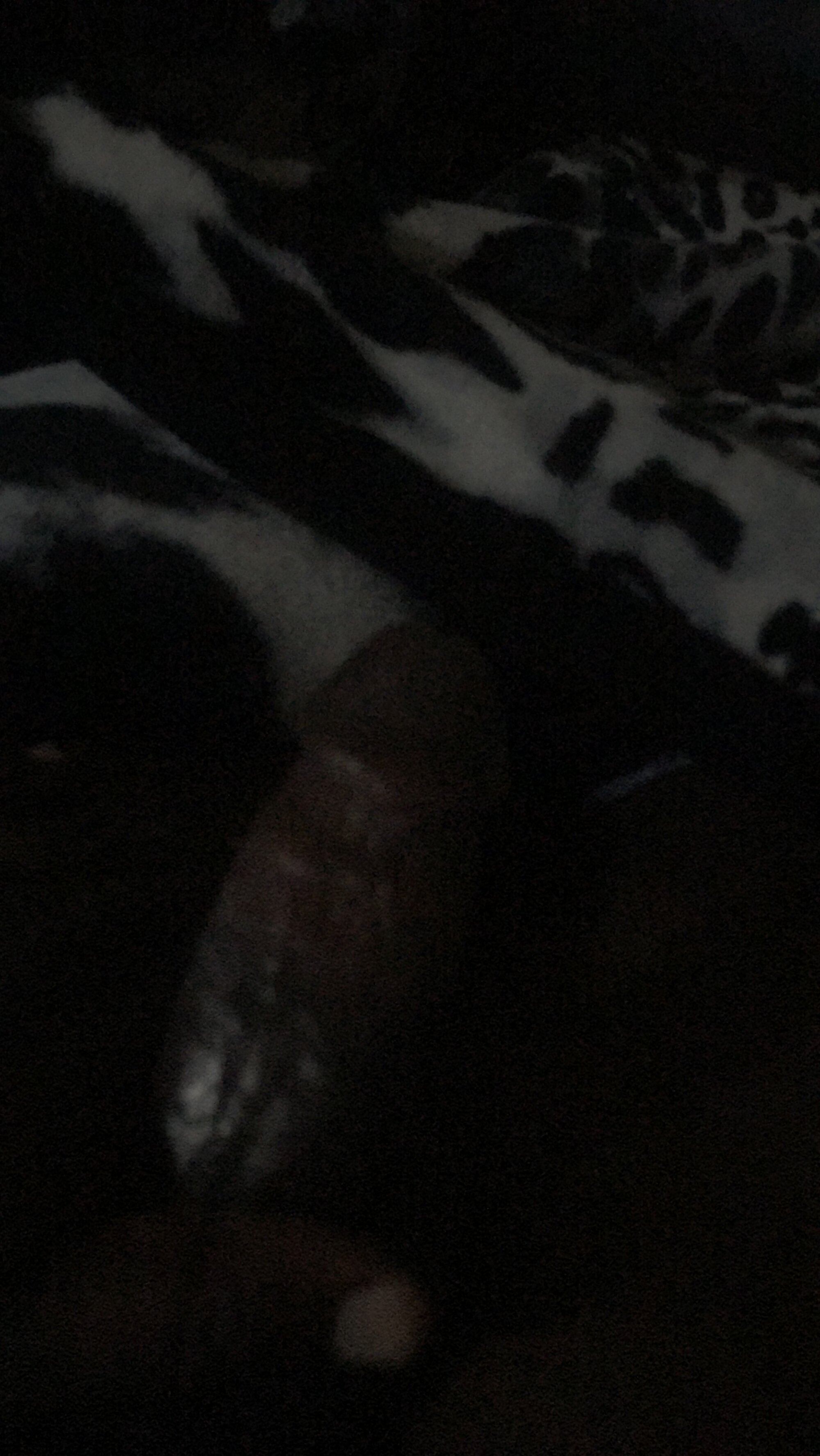 Dickmatize10