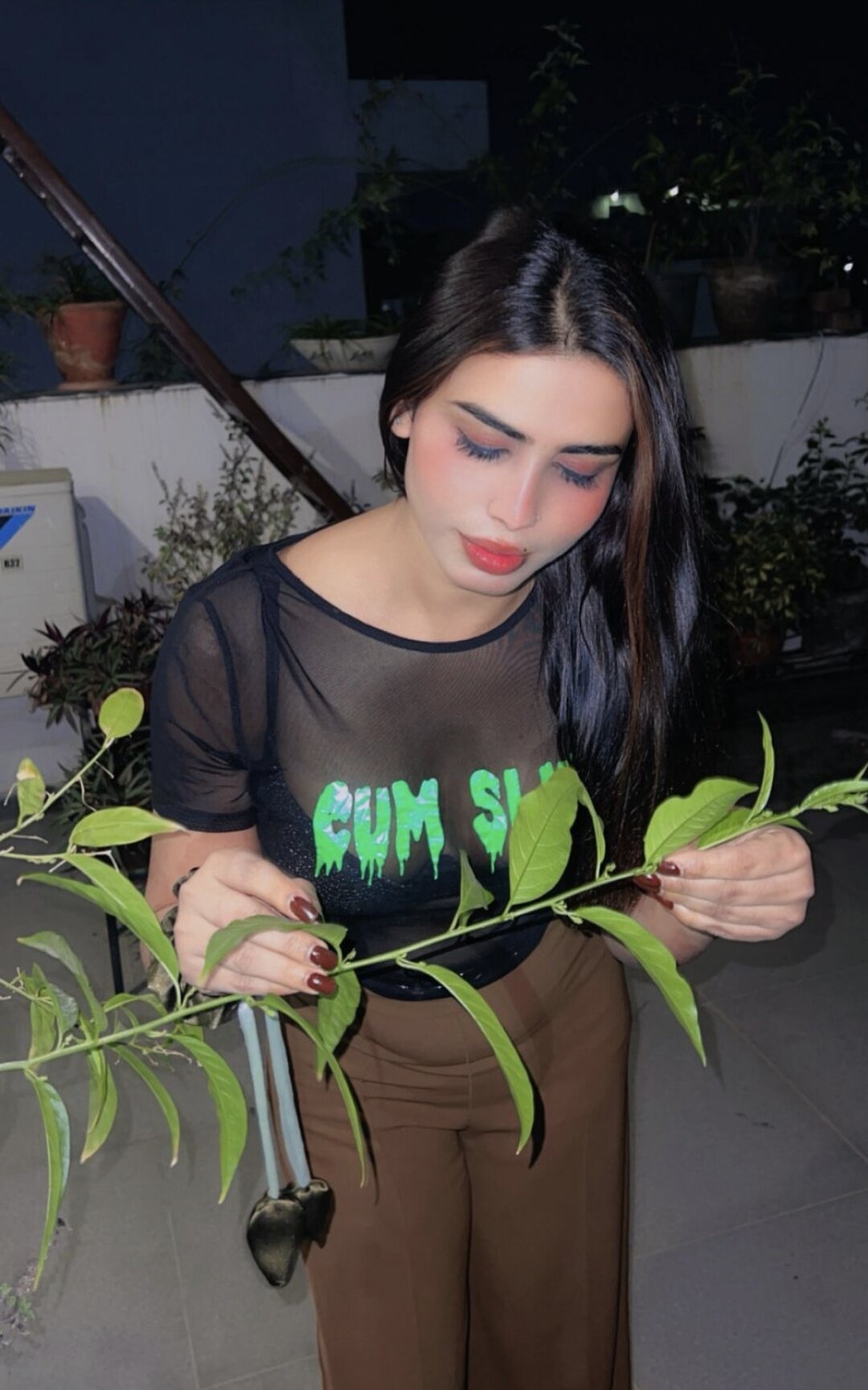 Anvi2025