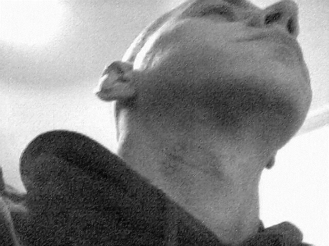Edelschrott profile