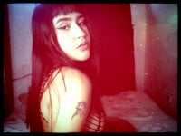 Terra420_- webcam thumbnail