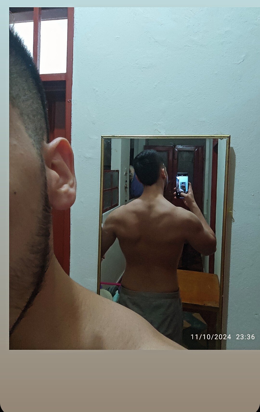 Timido97_
