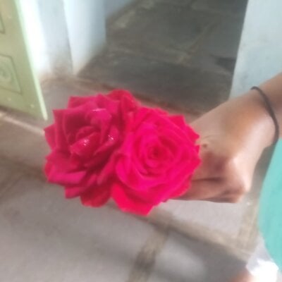 Shilpa20