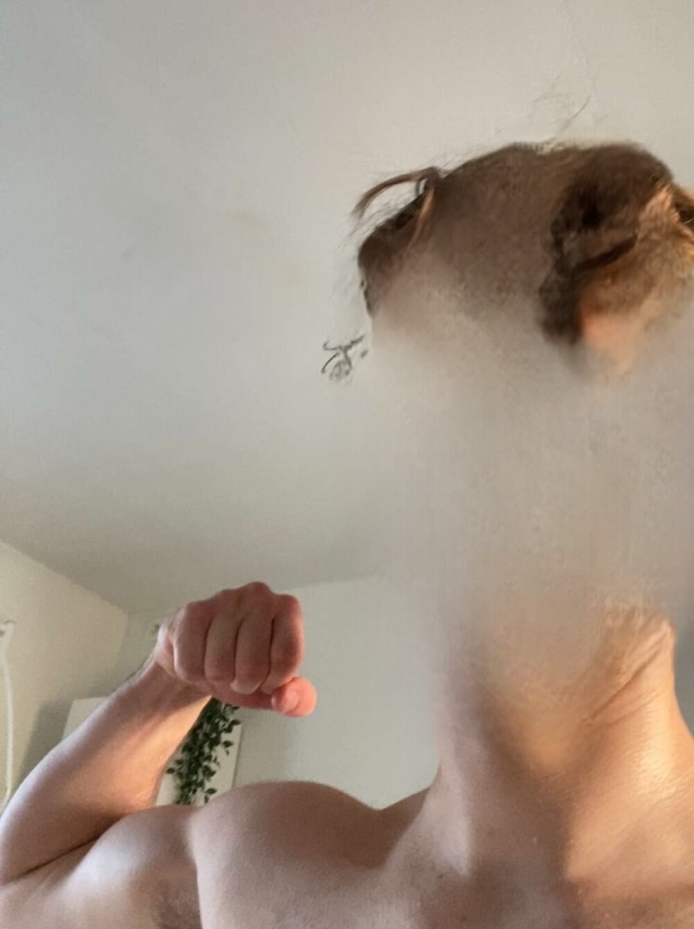 just20years from stripchat