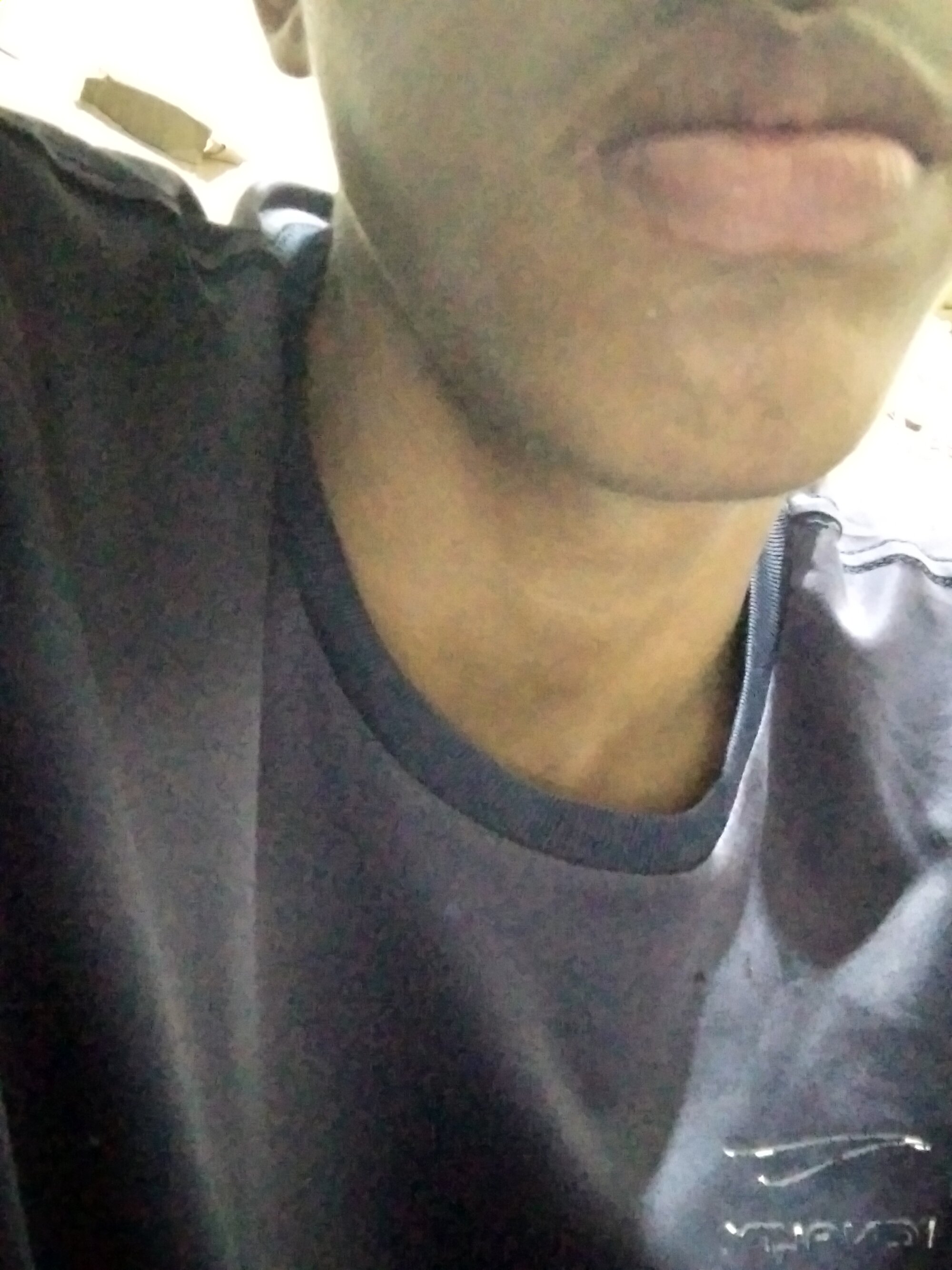 pirocao08