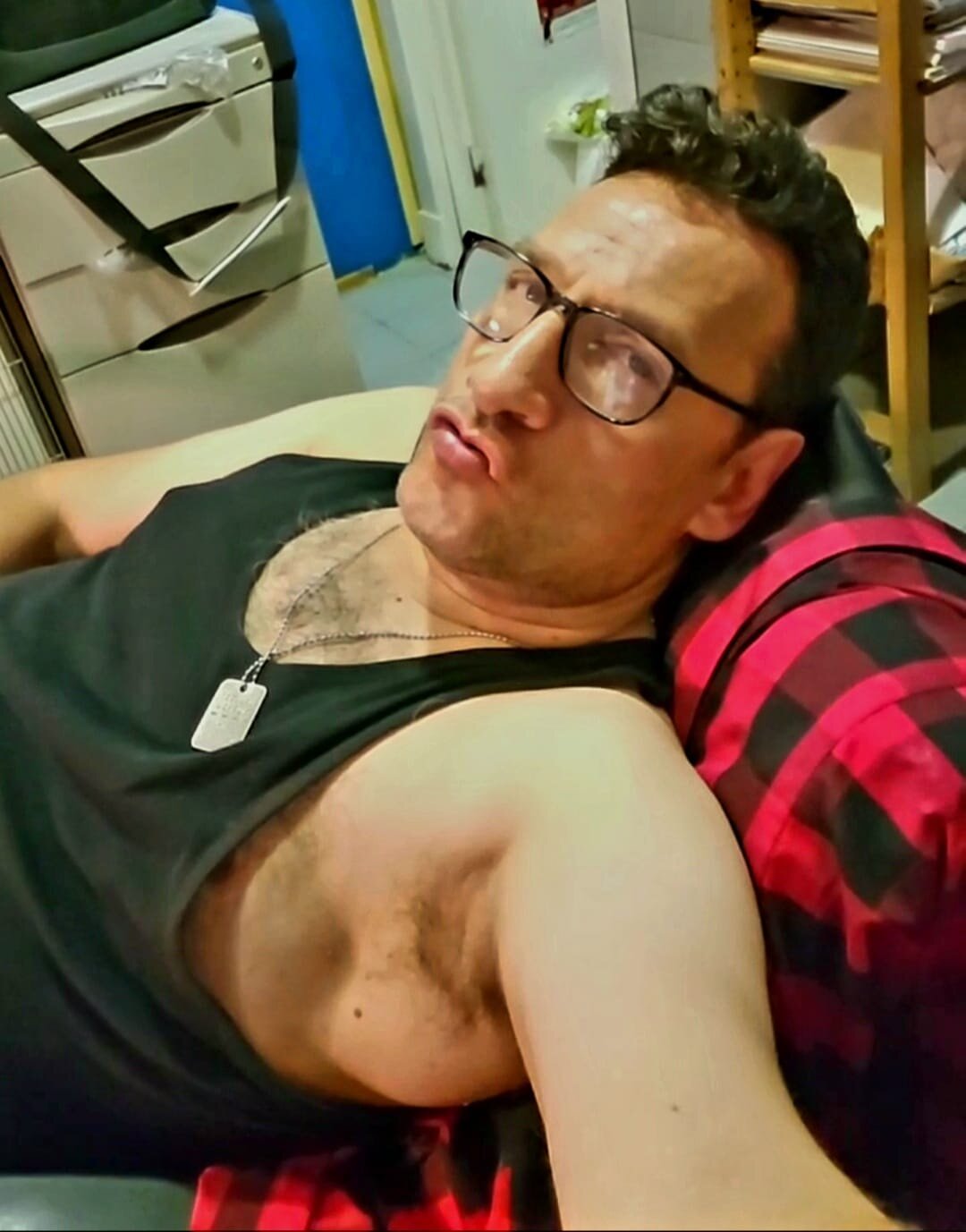 Viteperromad