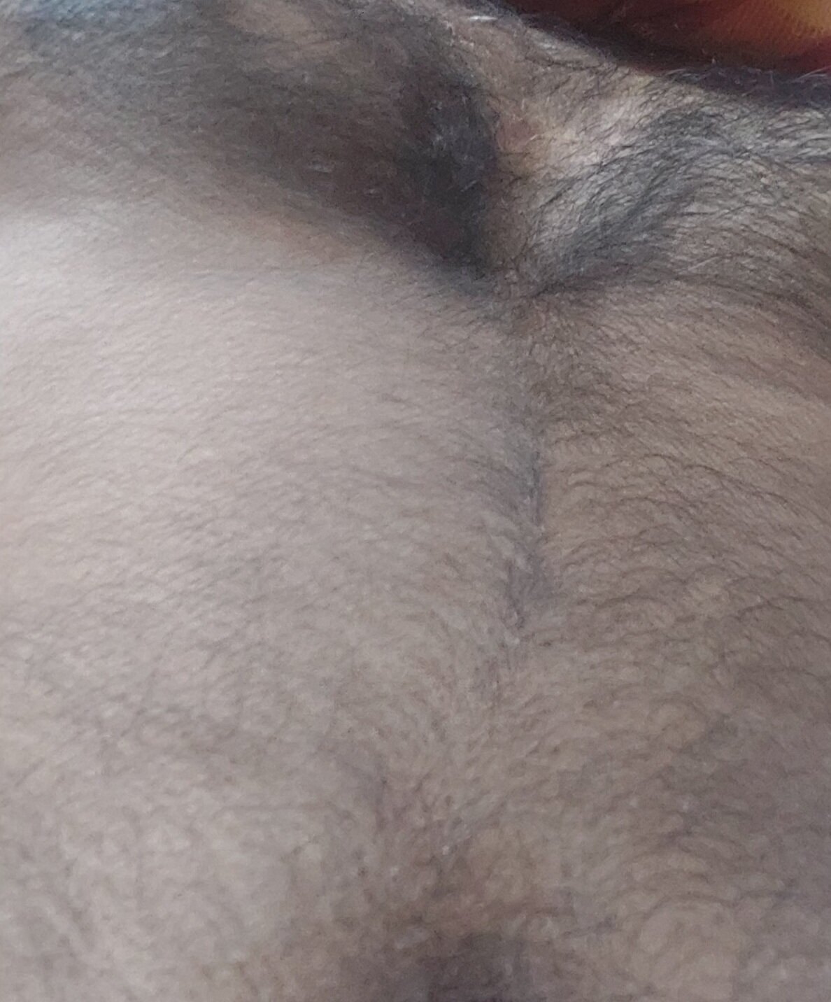 sanhita784