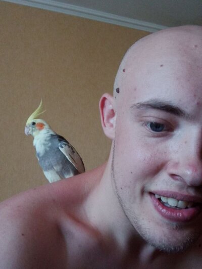 miniaturehorse Avatar