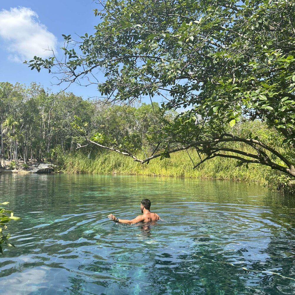 GoldenBeurre profile