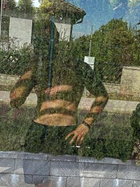 Wixenistgesund's webcam live show