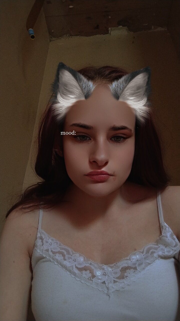 BawledRedbird
