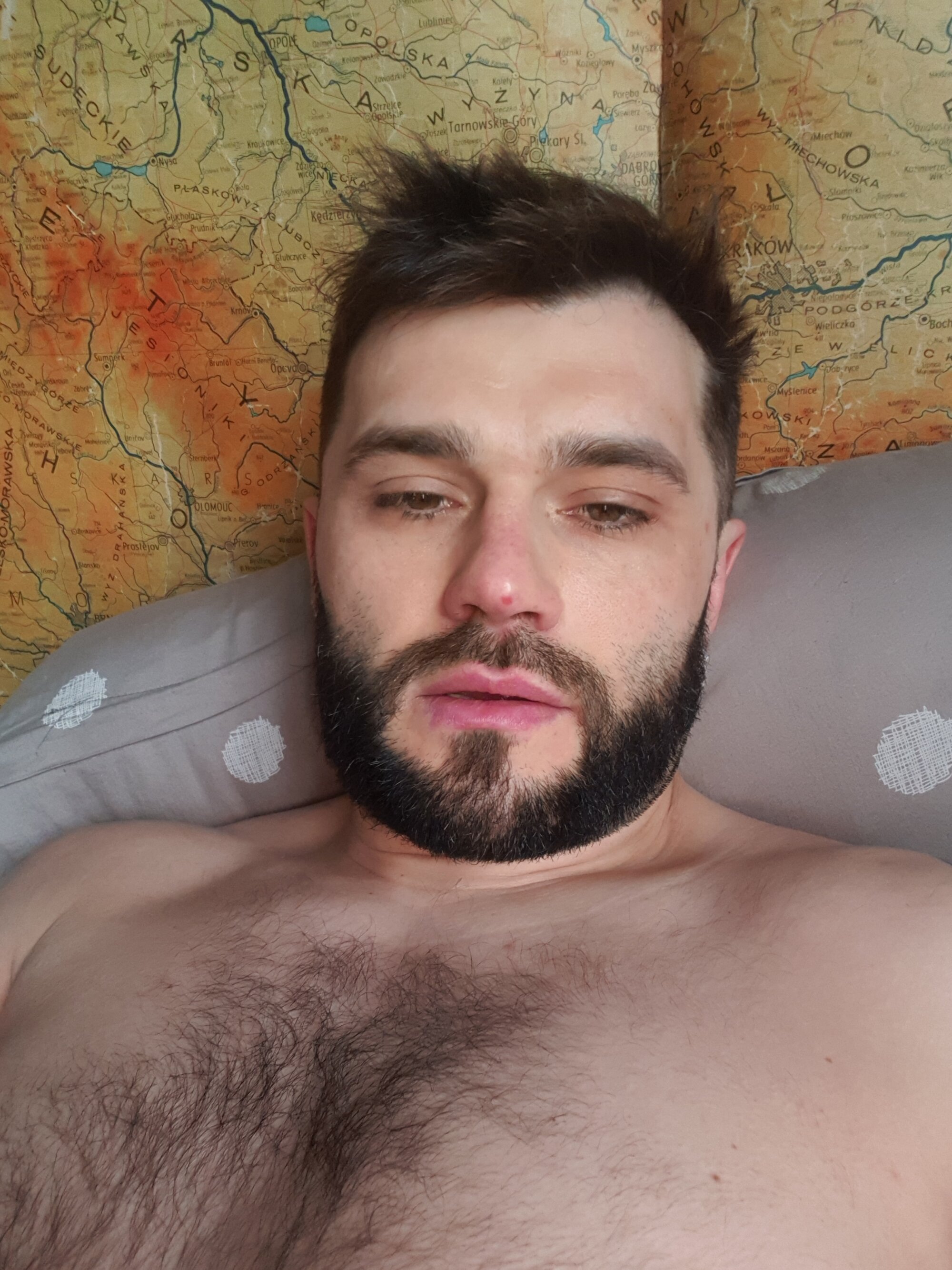 Merlovz
