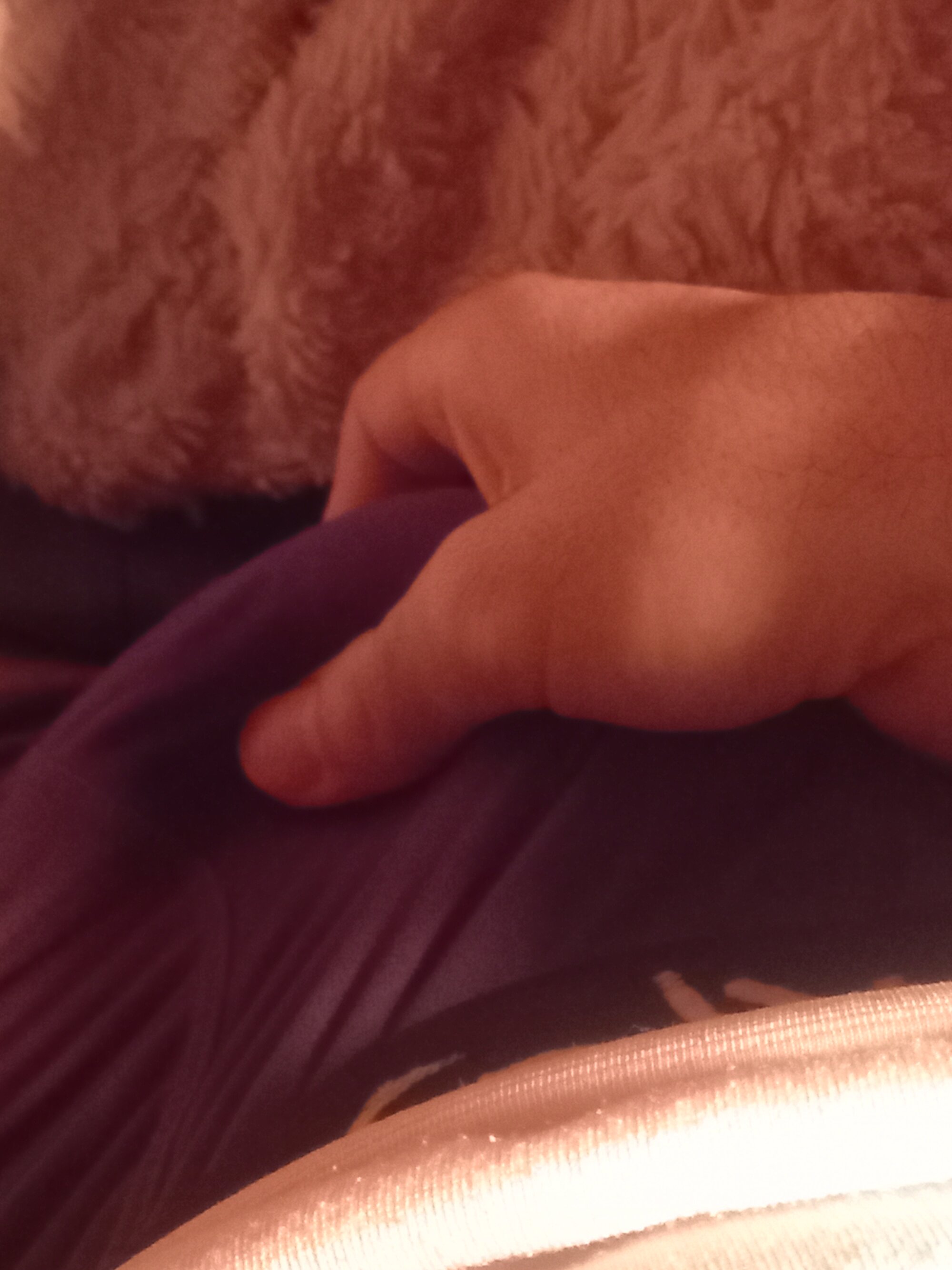 arabic-dick