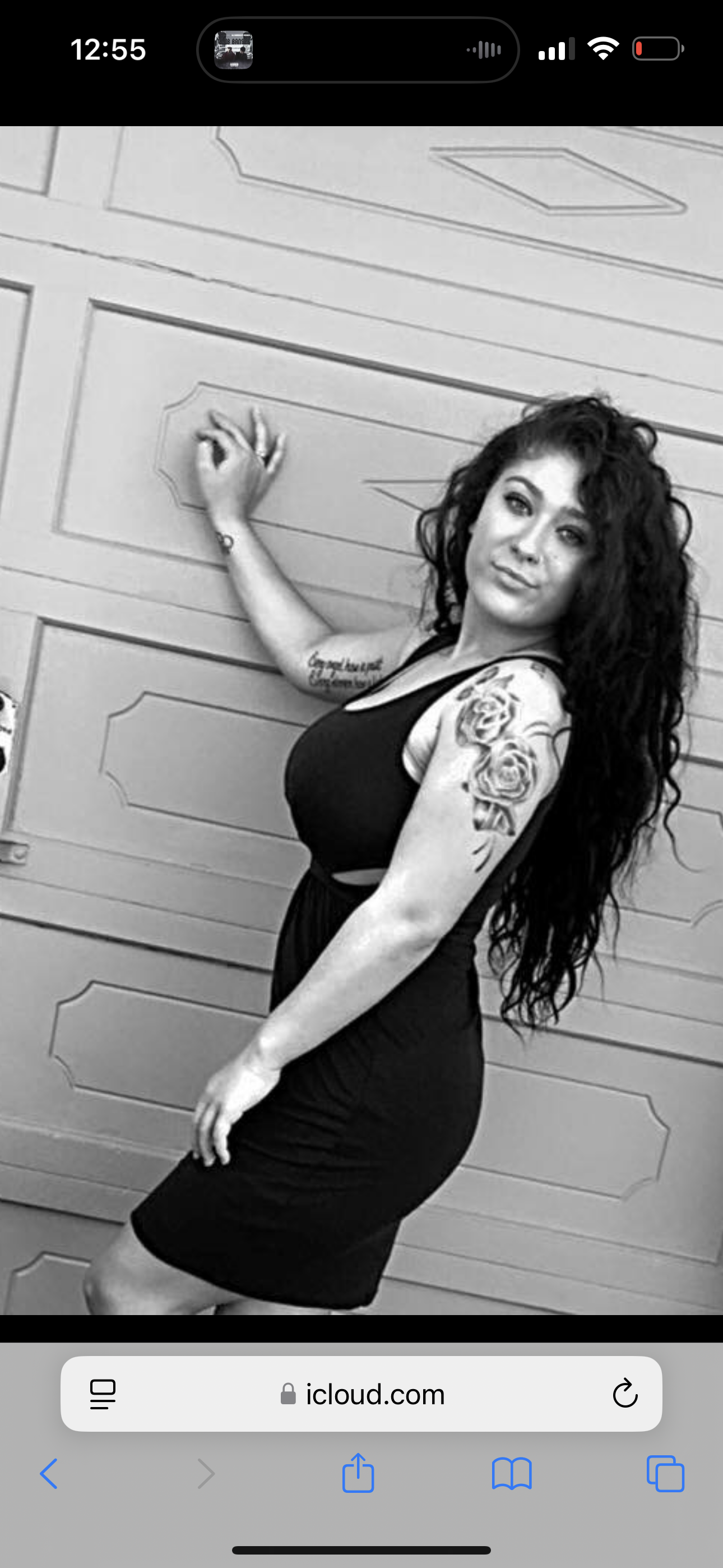 alliestaysfreaky