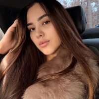 furry bear