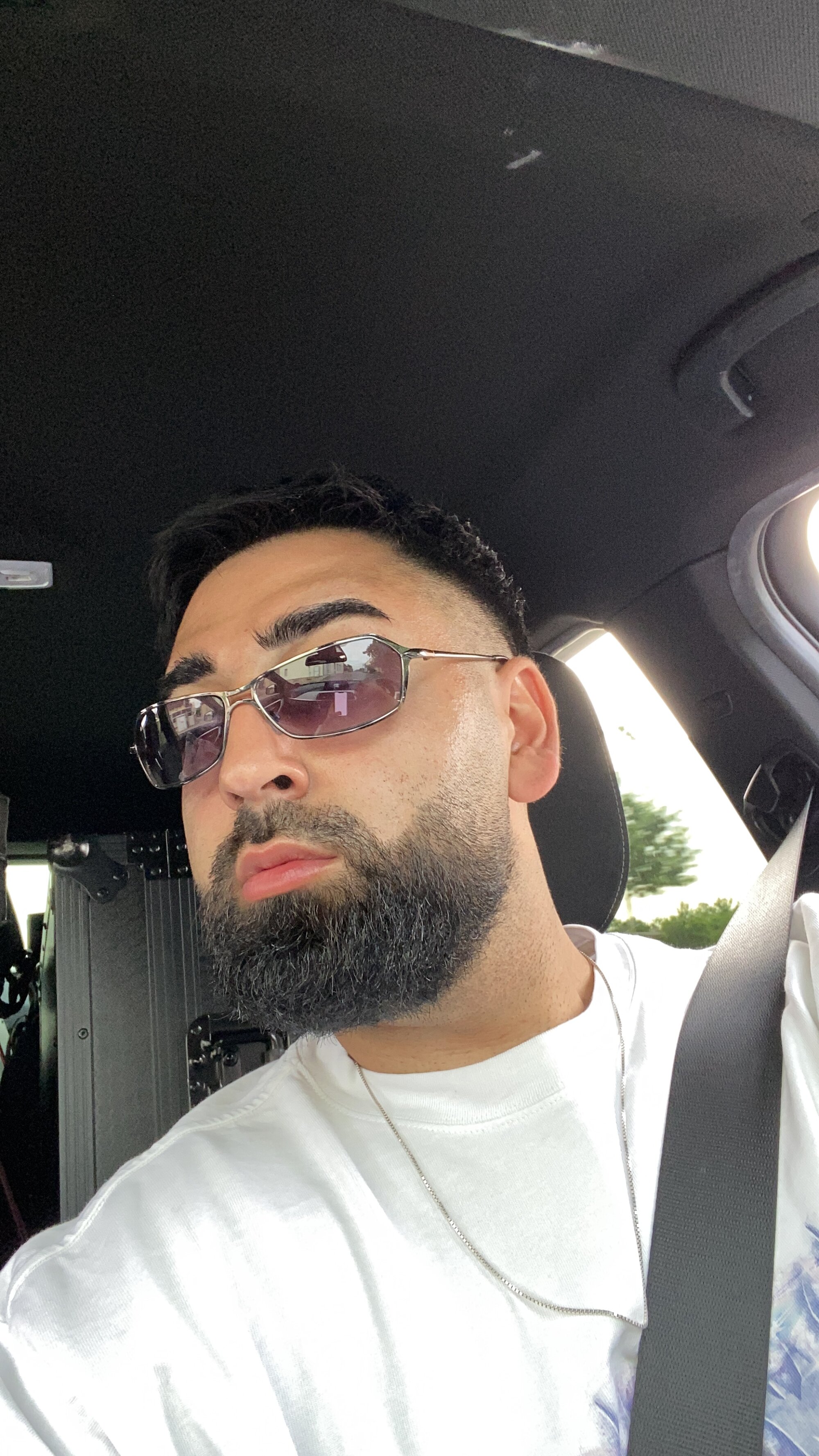 PersianHairyy
