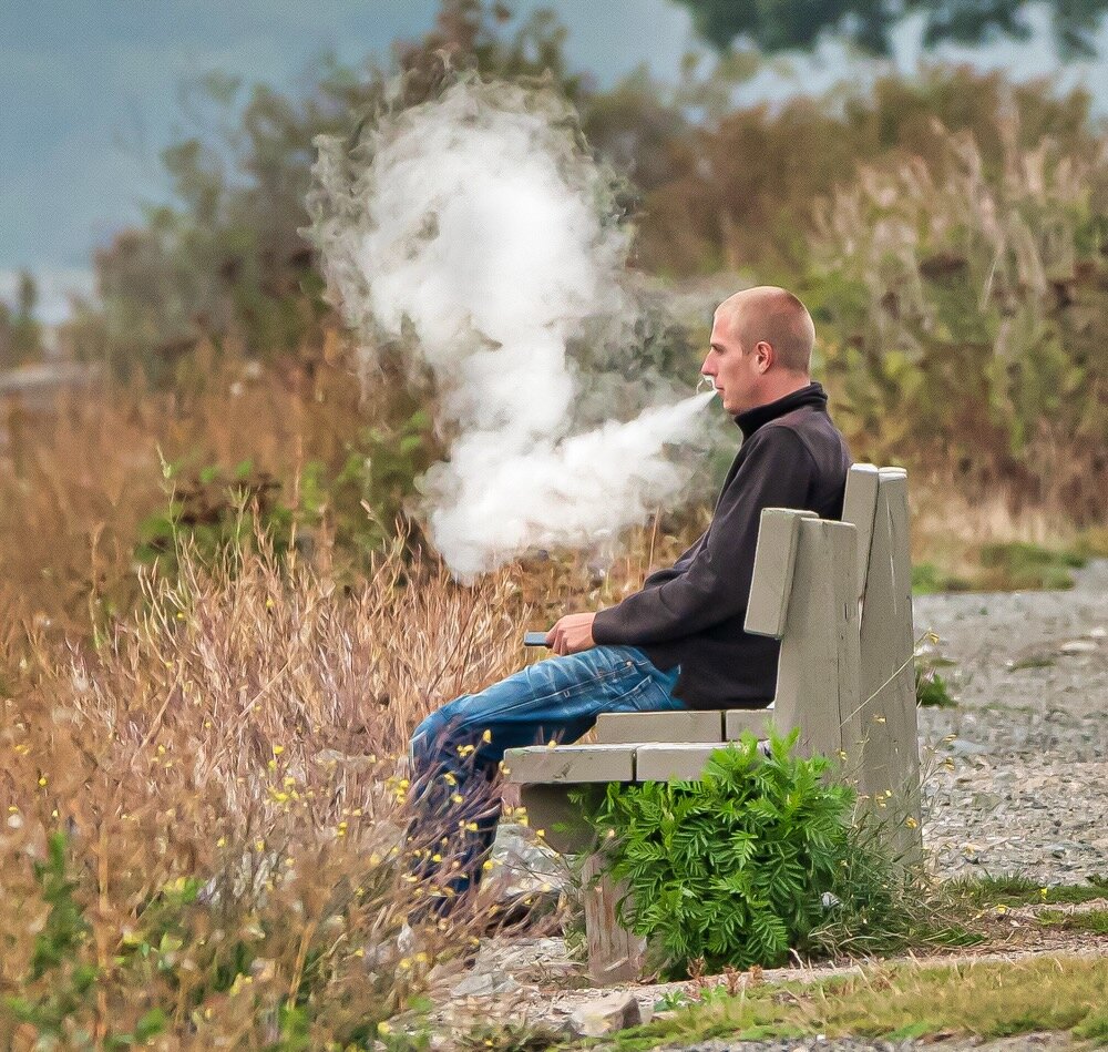 torlandomtl live webcam