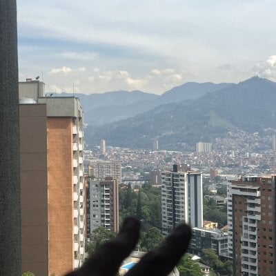 Sin38_