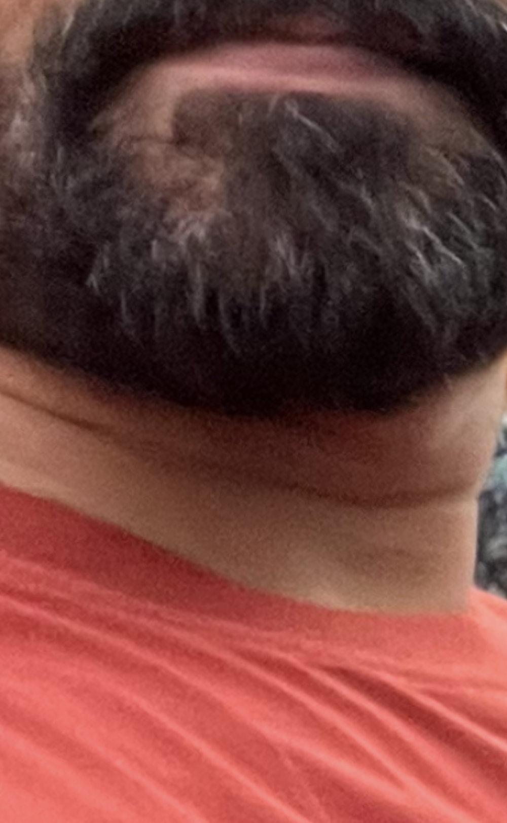 gingerguyblr profile
