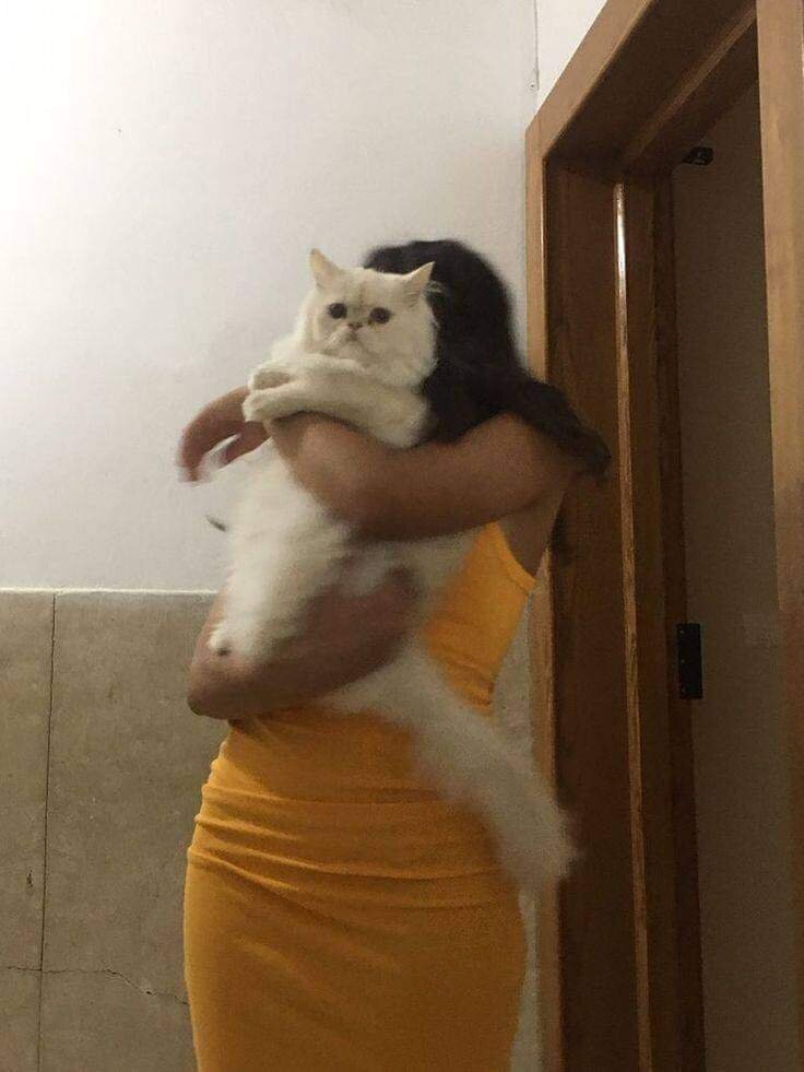 mimitaa1