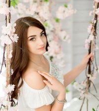 Violla's Offline Chat Room