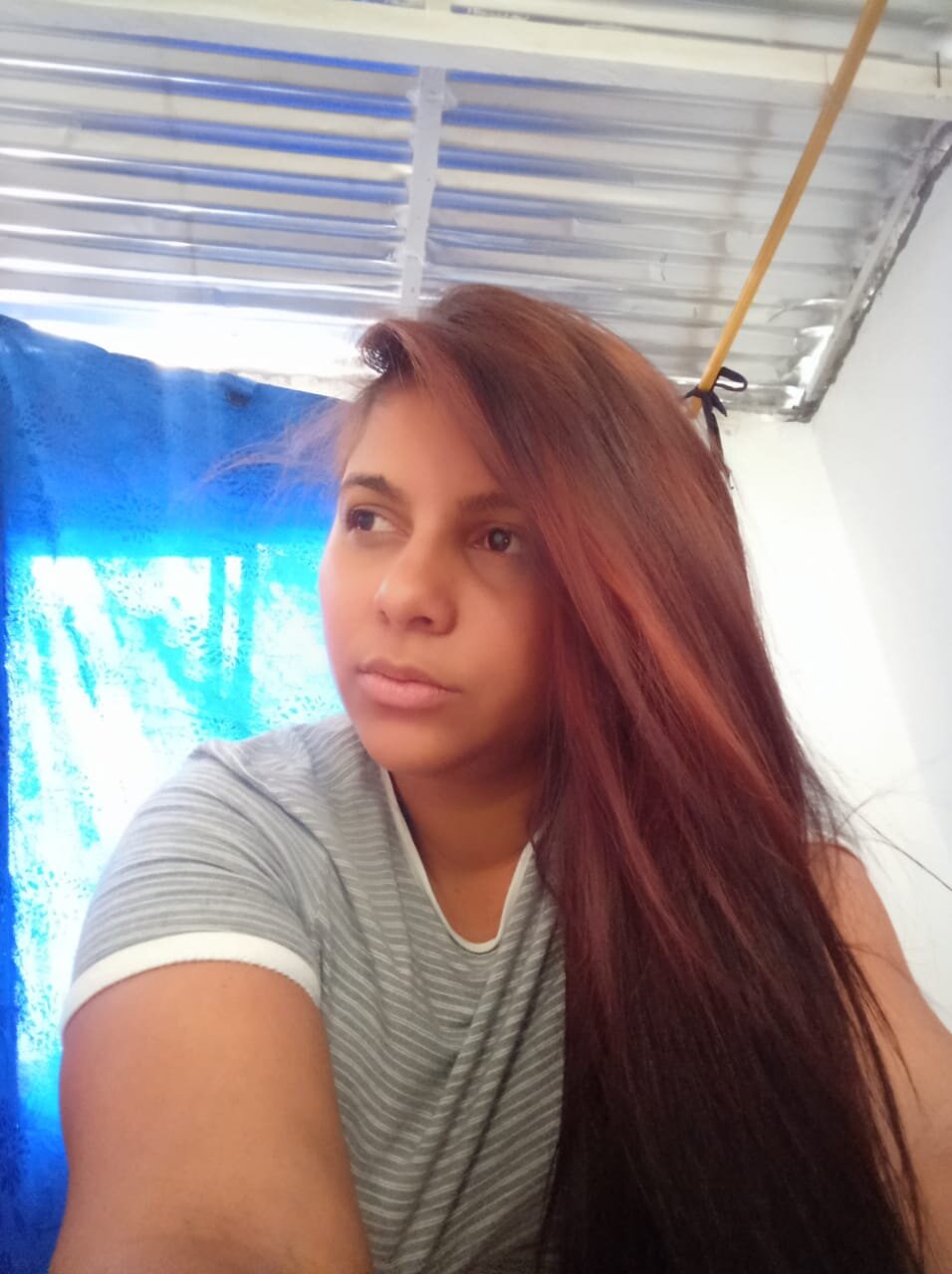 irissou