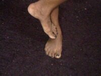 Indian_tracy