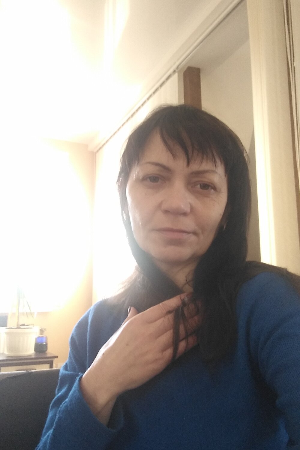 Stellallove