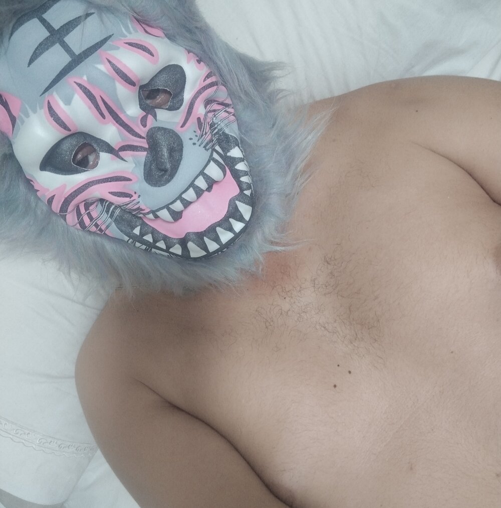 zebrawyzeb profile