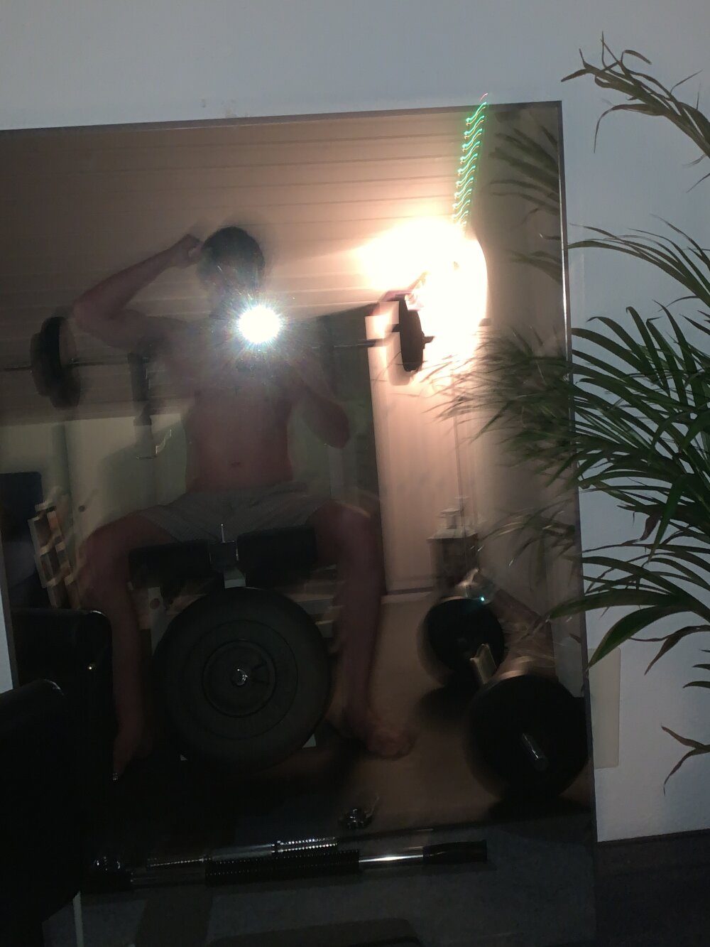 bingekomnen from stripchat