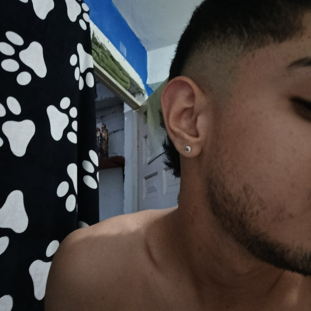 Sangeer profile