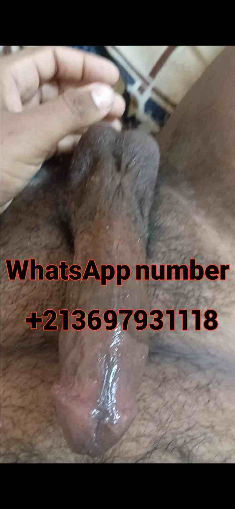 Alniak_algeria