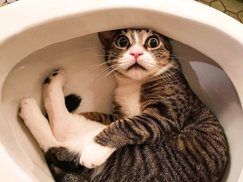 test_model123 Offline XXX Chat