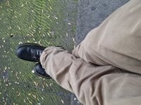 edArt666's webcam live show