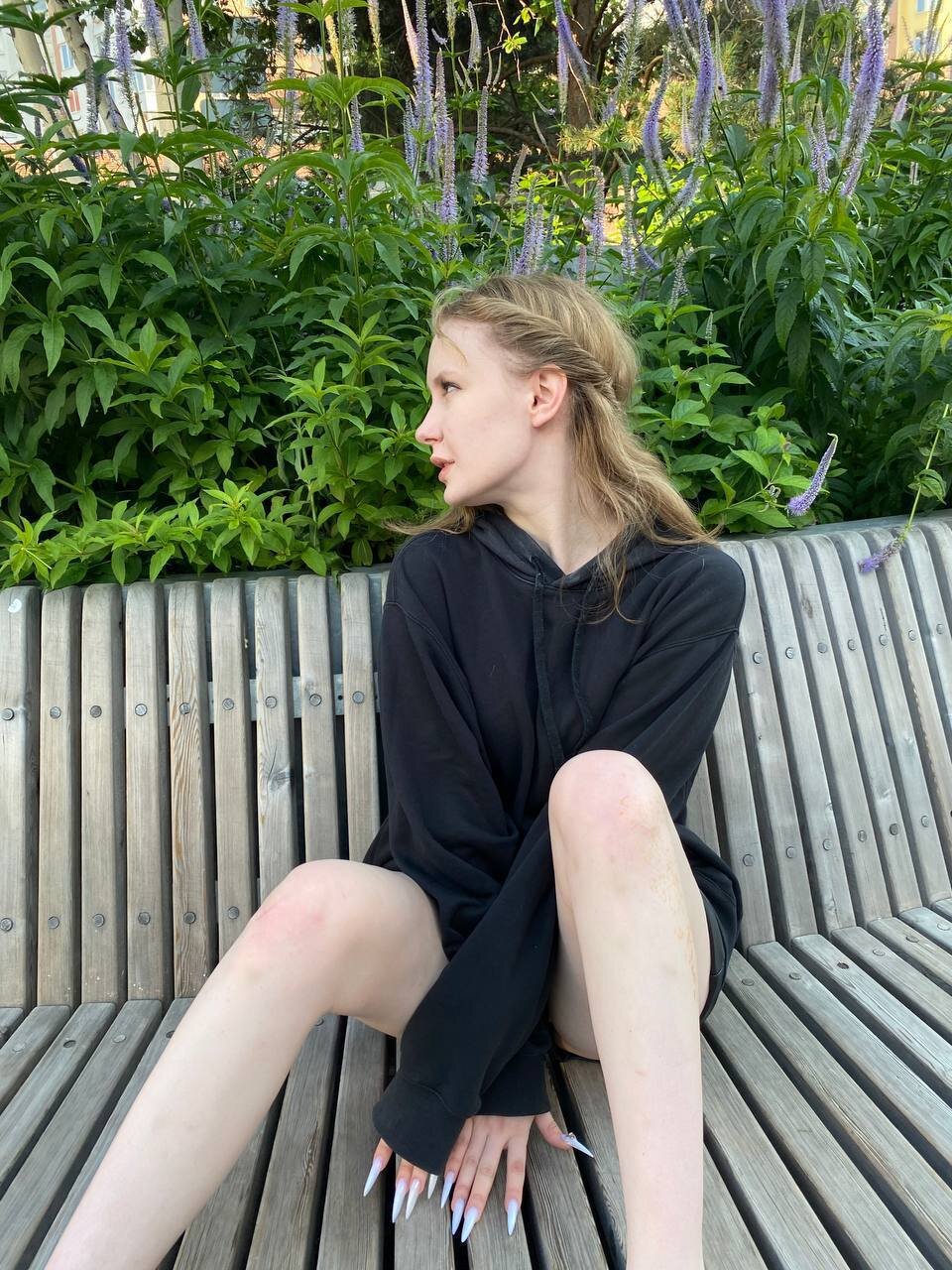 DaisyQuin